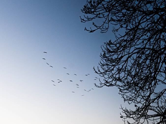 Was sind Angststörungen und wie beeinflussen sie das tägliche Leben?